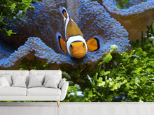 Load image into Gallery viewer, Photo Wallpaper Cute clownfish