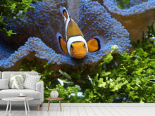 Load image into Gallery viewer, Photo Wallpaper Cute clownfish