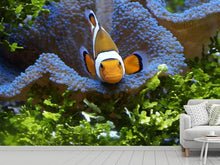 Load image into Gallery viewer, Photo Wallpaper Cute clownfish