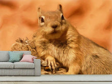 Load image into Gallery viewer, Photo Wallpaper Sweet squirrel
