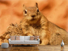 Load image into Gallery viewer, Photo Wallpaper Sweet squirrel