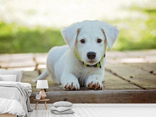 Load image into Gallery viewer, Photo Wallpaper Cute dog baby