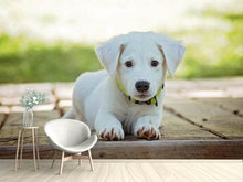 Load image into Gallery viewer, Photo Wallpaper Cute dog baby