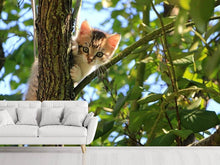 Load image into Gallery viewer, Photo Wallpaper Cute cat child