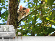 Load image into Gallery viewer, Photo Wallpaper Cute cat child