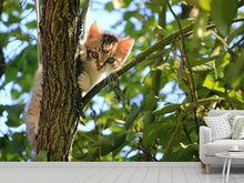 Load image into Gallery viewer, Photo Wallpaper Cute cat child