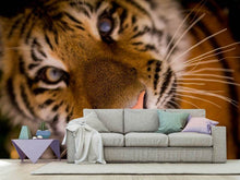 Load image into Gallery viewer, Photo Wallpaper Tiger face