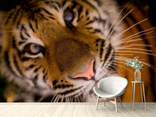 Load image into Gallery viewer, Photo Wallpaper Tiger face