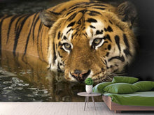 Load image into Gallery viewer, Photo Wallpaper Tiger in the water