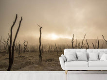 Load image into Gallery viewer, Photo Wallpaper Dead land