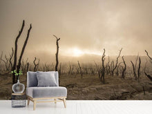 Load image into Gallery viewer, Photo Wallpaper Dead land