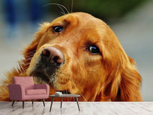 Load image into Gallery viewer, Photo Wallpaper Faithful Irish Setter