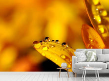 Load image into Gallery viewer, Photo Wallpaper Drops Close up