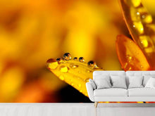 Load image into Gallery viewer, Photo Wallpaper Drops Close up