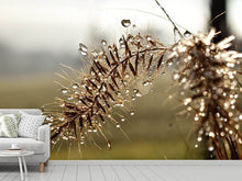 Load image into Gallery viewer, Photo Wallpaper Drops of nature