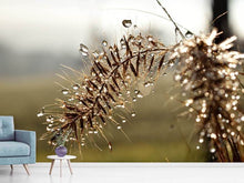 Load image into Gallery viewer, Photo Wallpaper Drops of nature