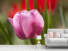 Load image into Gallery viewer, Photo Wallpaper Tulip pretty in pink