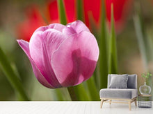 Load image into Gallery viewer, Photo Wallpaper Tulip pretty in pink