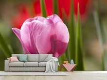 Load image into Gallery viewer, Photo Wallpaper Tulip pretty in pink