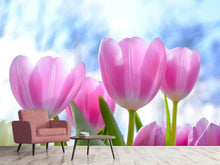 Load image into Gallery viewer, Photo Wallpaper Tulips in nature