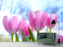 Load image into Gallery viewer, Photo Wallpaper Tulips in nature