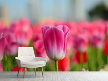 Load image into Gallery viewer, Photo Wallpaper Tulip field in pink-red