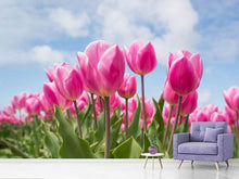 Load image into Gallery viewer, Photo Wallpaper Tulip field in pink