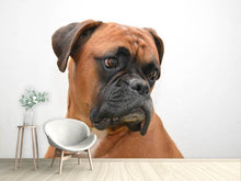 Load image into Gallery viewer, Photo Wallpaper Typical boxer