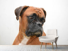 Load image into Gallery viewer, Photo Wallpaper Typical boxer