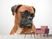 Load image into Gallery viewer, Photo Wallpaper Typical boxer
