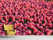 Load image into Gallery viewer, Photo Wallpaper Lush tulip field