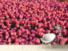Load image into Gallery viewer, Photo Wallpaper Lush tulip field