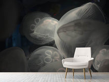 Load image into Gallery viewer, Photo Wallpaper Eerie jellyfish