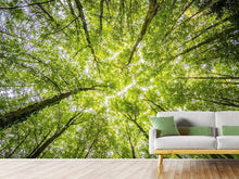 Load image into Gallery viewer, Photo Wallpaper Under the treetops