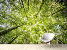 Load image into Gallery viewer, Photo Wallpaper Under the treetops