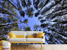 Load image into Gallery viewer, Photo Wallpaper Under high treetops