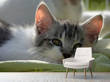 Load image into Gallery viewer, Photo Wallpaper In love with kitten