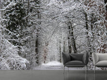 Load image into Gallery viewer, Photo Wallpaper Enchanted winter forest
