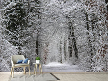 Load image into Gallery viewer, Photo Wallpaper Enchanted winter forest