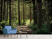 Load image into Gallery viewer, Photo Wallpaper Many trees