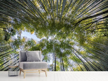 Load image into Gallery viewer, Photo Wallpaper Many treetops