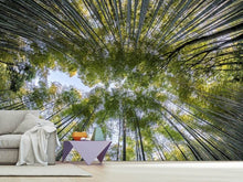 Load image into Gallery viewer, Photo Wallpaper Many treetops