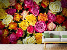 Load image into Gallery viewer, Photo Wallpaper Many colorful rose petals