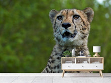 Load image into Gallery viewer, Photo Wallpaper Watchful cheetah