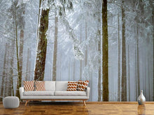 Load image into Gallery viewer, Photo Wallpaper Forest in winter