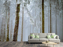 Load image into Gallery viewer, Photo Wallpaper Forest in winter