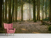 Load image into Gallery viewer, Photo Wallpaper Forest run