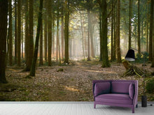 Load image into Gallery viewer, Photo Wallpaper Forest run