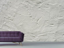 Load image into Gallery viewer, Photo Wallpaper Wall texture