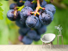Load image into Gallery viewer, Photo Wallpaper grapes